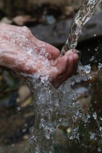 We reuse rainwater in our internal demands.