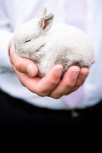 We do not test on animals or use raw materials of animal origin.